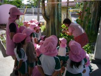 20080604_021