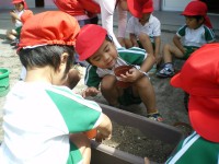 20080604a_002
