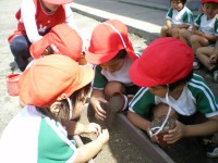 20080604a_005