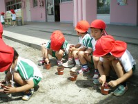 20080604a_006