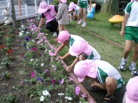 20080604b_013