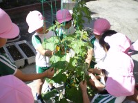 20080604b_025