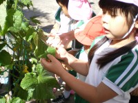20080604b_026