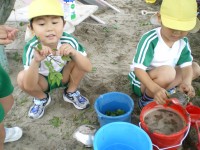 20080605_006
