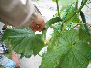 20080605_026