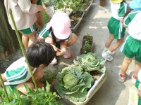 20080605_027